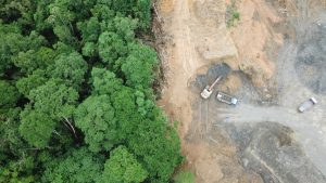 【ガボン】FSC、オーラムに対する公式調査開始。環境NGOがパーム・ゴムで森林破壊と追及