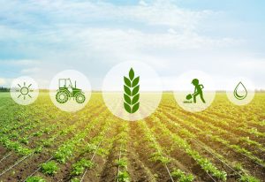 【国際】FAO、各国の食料・農業関連データ可視化ツール発表。食品摂取量、健康影響、環境影響等