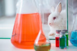 【アメリカ】EPA、化学品開発での2035年までの哺乳類動物実験廃止に向け作業計画発表