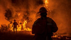 【アメリカ】カリフォルニア州大規模山火事、すでに61万haの森林を焼失。10万人以上が避難