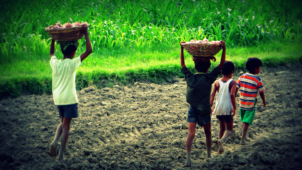 【国際】最悪の形態の児童労働条約にILO加盟全187加盟国が批准。国連機関初の全加盟国批准達成 1
