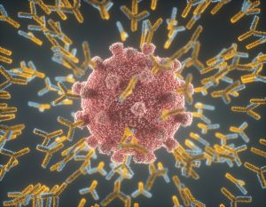 【アメリカ】ファイザーとBioNTech、新型コロナワクチンBNT162で安全性・免疫原性確認。フェーズ1臨床
