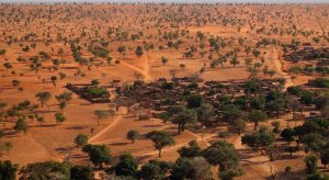【アフリカ】コペンハーゲン大学とNASA、AI解析でサハラ砂漠に180億本の樹木が存在していると算出