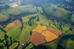 【イギリス】新たな農業法が成立。環境ポジティブ農家に積極的に補助金支給。国際競争力重視