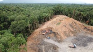 【国際】シンクタンク、金融関連7社に対し、森林破壊リスクの高い企業26社への影響力行使要請