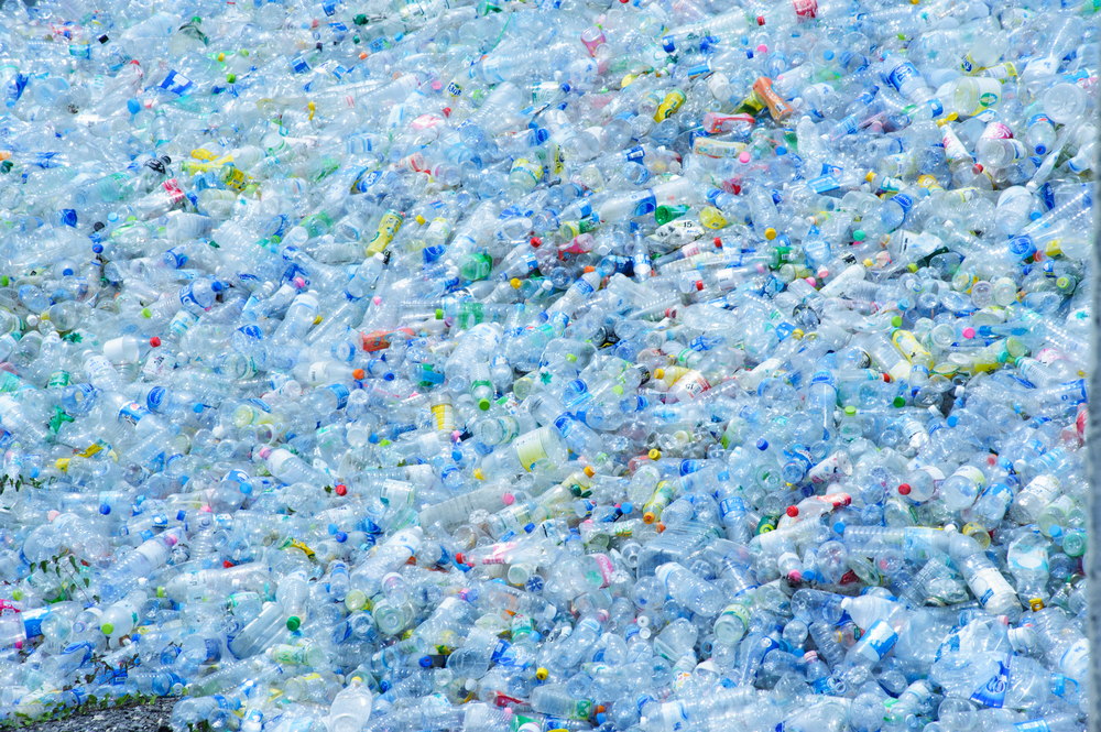 【アメリカ】2019年のPET素材リサイクル率は27.9%。輸出減で前年割れ。ボトルでのrPET使用は大幅増 1