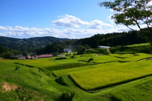 【日本】農水省、みどりの食料システム戦略の中間とりまとめ発表。化学農薬50%減、化学肥料30%減