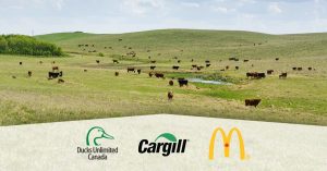【国際】カーギル、カカオ農家支援でネスレと協働。持続可能な牧草地ではNGOとマクドナルドと連携