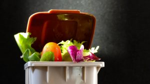 【イギリス】政府、家庭からの食品廃棄物と庭廃棄物の定期回収政策発表。パブコメ募集