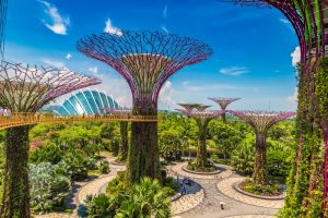 【国際】国際的な自発的CO2排出量取引所、シンガポールに開設へ。SGX、DBS、テマセク等