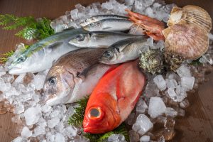 【日本】IUU漁業対策フォーラム、全魚種を輸出規制対象種とするよう水産庁に提案
