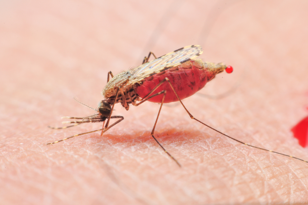 【中国】WHO、中国でのマラリア撲滅を宣言。1940年代の年間3,000万症例から大幅改善 1