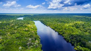 【ブラジル】ナチュラ、ダウ運営のアマゾン熱帯雨林保護プロジェクトに参画。バイオアクティブ開発支援