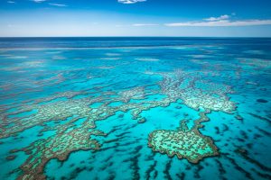 【オーストラリア】BHPと海洋科学研究所、サンゴ礁再生の研究イニシアチブ発足。22億円拠出