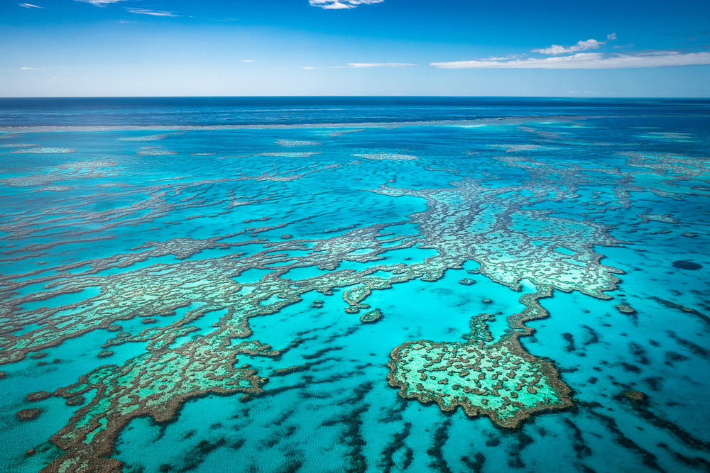 【オーストラリア】BHPと海洋科学研究所、サンゴ礁再生の研究イニシアチブ発足。22億円拠出 1