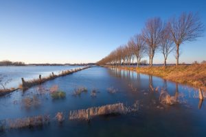【国際】米政府、自然を活用した洪水対策で国際ガイドライン発行。英政府も支持