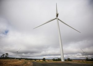【オーストラリア】コールズ、2025年度までに100%再エネ転換。電力大手との大規模発電証書購入契約締結