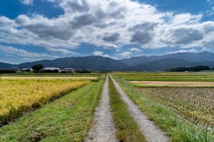 【日本】農水省、地球温暖化対策計画と気候変動適応計画を改定。削減目標を44.2%にまで引上げ