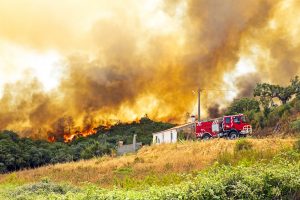 【ヨーロッパ】2021年の森林火災面積、史上最悪へ。気候変動でメガファイヤーの発生が増加
