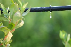 【国際】ペプシコ、農業サプライヤーへの高効率灌漑システム導入支援。N-Drip協働、2025年までに1万ha