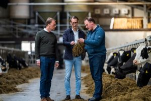 【オランダ】DSM、飼料添加物「Bovaer」の大規模実証。家畜げっぷのメタン排出を大幅削減