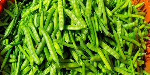 【国際】ソルベイ、グアー豆由来の生分解性樹脂製品ラインナップ拡充。OECD基準準拠