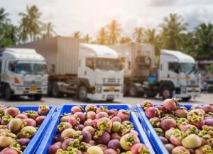 【EU】欧州委、ウクライナの農作物輸出を支援する枠組み発表。国境付近の物流網強化