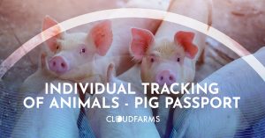 【スイス・ドイツ】BASF子会社、養豚場から豚肉加工までのサプライチェーン分析ツール実証開始