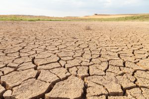 【国際】国連砂漠化対処条約、「2050年までに世界人口の4分の3が旱魃の影響を受ける」と警鐘