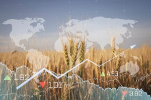 【国際】G7エルマウ・サミット、グローバル食料安全保障声明発表。短期施策と長期施策の双方