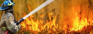 【国際】世界の森林火災の発生頻度の上昇を発表。過去20年で消失面積2倍。メリーランド大学