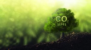 【国際】EcoVadis、サプライヤーのCO2削減評価サービス「CAM」の初年度の状況報告書発行