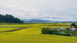 【日本】農水省、みどりの食料システム法に基づく国の基本方針決定。自治体・事業者への支援制度開始