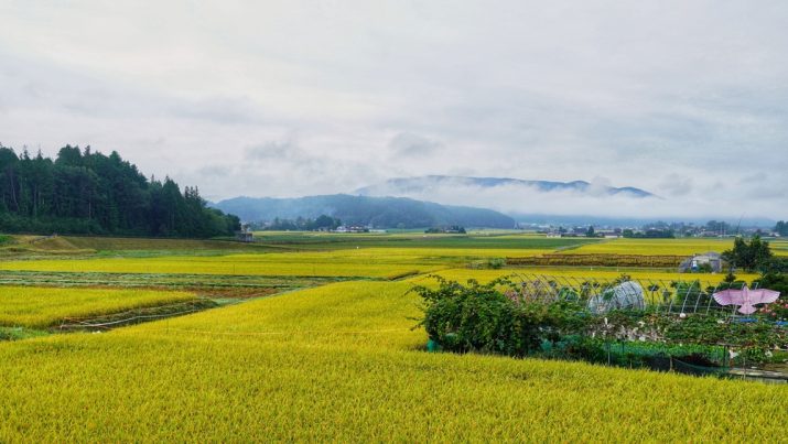 【日本】農水省、みどりの食料システム法に基づく国の基本方針決定。自治体・事業者への支援制度開始 1