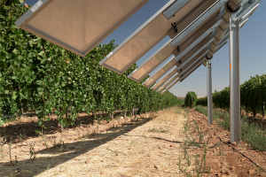 【スペイン】イベルドローラ、葡萄農園でスマート太陽光発電実証導入。太陽光発電パネル傾斜AI制御