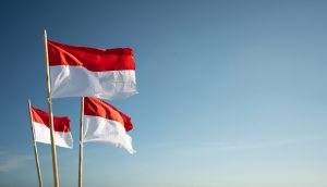 【インドネシア】IRENAとインドネシア政府、再エネ中心の電力転換は低コストと発表。脱炭素