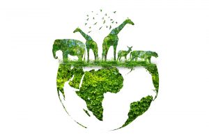 【国際】インディテックスとWWF、生態系保全プロジェクトで協働。3年間合計14億円拠出