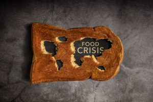 【国際】FAO、食料・農業の将来展望を報告。「早急に大転換しなければ食料システムは破綻」