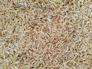 【ヨーロッパ】ソルベイ、サーキューラー高分散性シリカを欧州市場で展開。籾殻由来