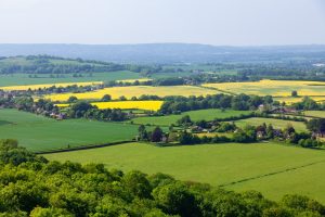 【イギリス】政府、持続可能な農林業への転換で助成金を拡充。中小農家のトランジションも支援