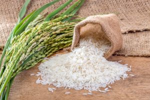 【国際】Verra、米作稲わらメタンのVCS規格を廃止。代替規格の開発に着手