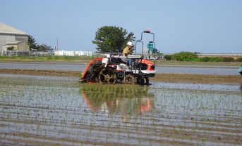 【日本】BASF、クボタ、JA全農、米生産最適化で協働。システム連携実証開始