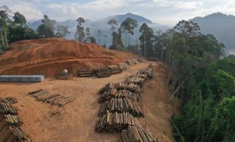 【EU】森林破壊・森林劣化規則が成立。7品目にデューデリ義務。猶予期間は18ヶ月。違反時は巨額罰金も