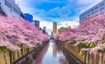 【日本】岸田首相、「グローバル・スタートアップ・キャンパス（GSUC）」を東京に創設へ