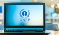 【国際】UNEP、NZIAからの相次ぐ脱退で声明発表。背後には米国共和党の動き