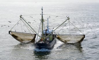 【中国】政府、WTOのIUU漁業補助金禁止協定を受諾。11カ国目