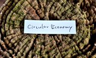 【EU】Circle Economy、サーキュラーエコノミー分野でのCSRDセルフチェックツールをリリース