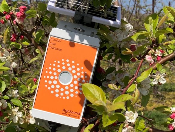 【イギリス】テスコとWWF、リンゴ園でAI搭載花粉媒介者モニタリング機器設置。AgriSound協働