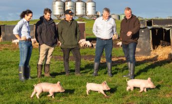 【オーストラリア】コールズ、カーボンニュートラル認証PB豚肉の販売開始。牛肉に続く