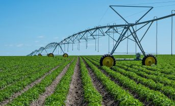 【北米】ペプシコとウォルマート、リジェネラティブ農業促進で協働。7年間で170億円規模支援